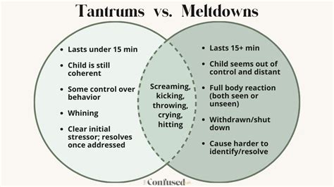 Tantrum Vs Meltdown Difference Why They Happen When To Worry