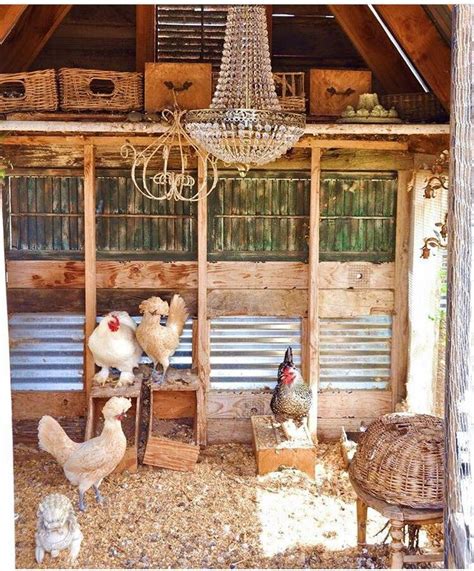 This Amazing Chicken Coop By Tracy Porterwhat A Dream Chicken
