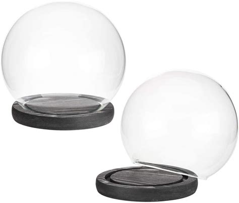 6 Inch Clear Glass Terrarium And Keepsake Display Globe Cloche With Bl Myt