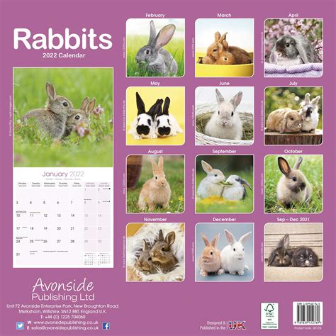 Rabbits 2022 Wall Calendar By Avonside Publishing Ltd 9781839412769