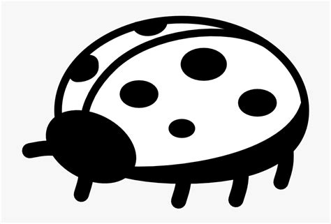 Clipart Ladybug Black And White