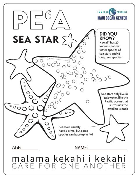 Coloring Page Starfish 1 Maui Ocean Center
