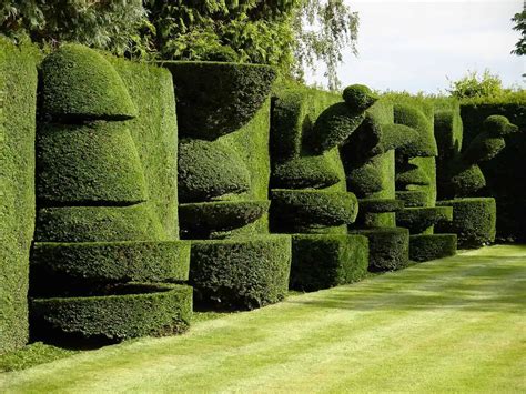 Top 20 Sculptural Topiaries 1001 Gardens