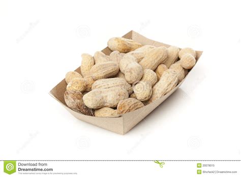 Brown Peanuts Stock Image Image Of Plant Nutshell Nutrition 20078015