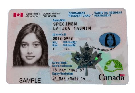 Avni Canadian Immigration Consultancy Inc Pr Card Renewal