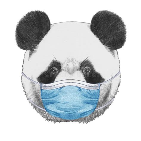 Porträt Des Pandas Mit Sonnenbrille Und Schal Von Hand Gezeichnete