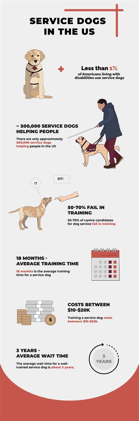 How Much Does A Trained Service Dog Cost
