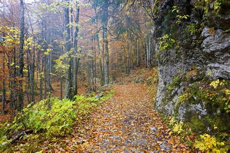 Autumn Landscape In The National Park Of Triglav Slovenia Stock Image