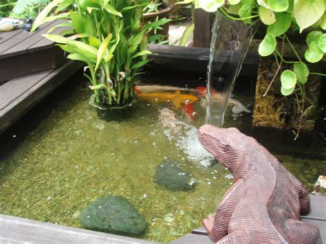 1 how to clear green water in ponds & lakes 2021 (top treatments). Zestzfulness: October 2010