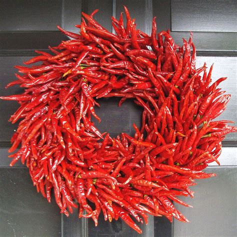 Organic Red Chili Pepper Wreath The Green Head