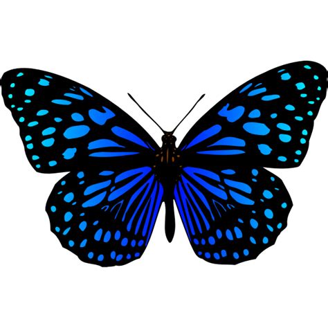 Butterfly Svg Free Download Download Free 4228 Svg Svg Images Of