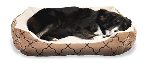 Best Large Dog Beds Petandbabygates