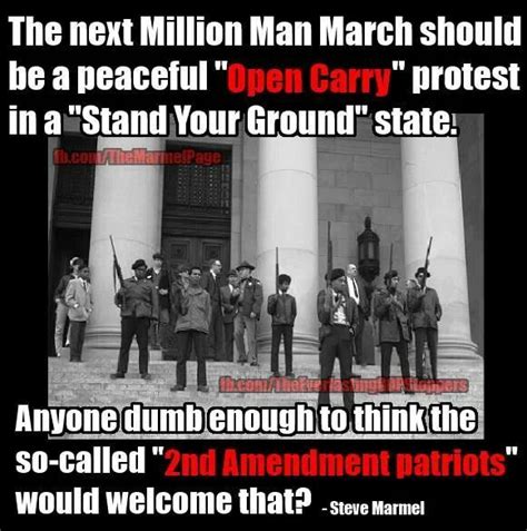 Pin By Tracy Walker On 2nd Amendment Rites Stop The Madness Black Panther Black Panther