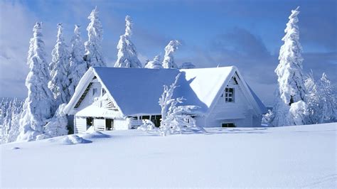 Nature Snow Forests Houses House Wallpaper 1920x1080