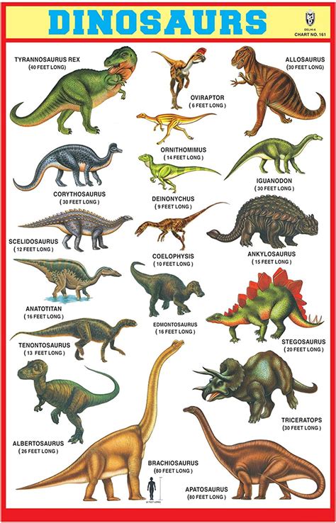 Ibd Pre Primary Educational Children Learning Dinosaurs