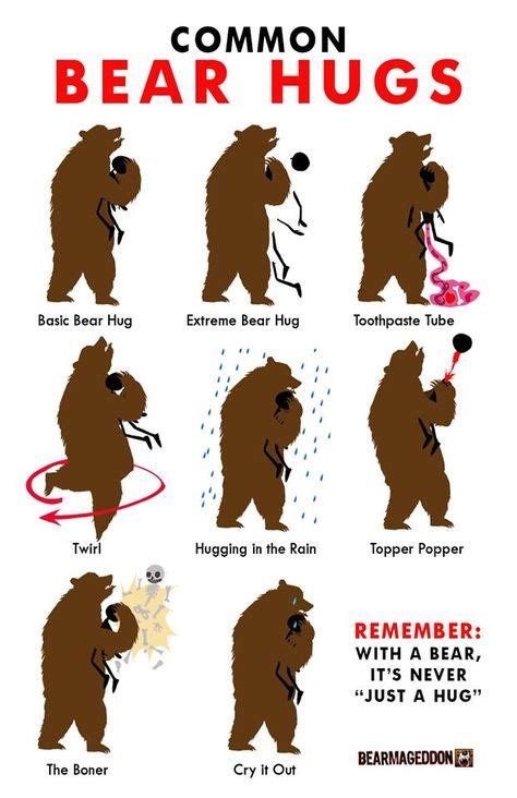 21 best bears images in 2020 bear attack funny bears funny memes