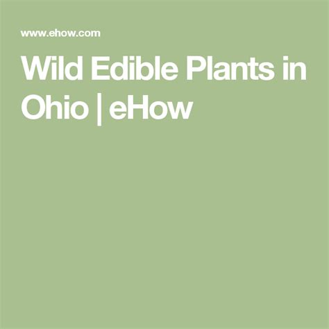 Wild Edible Plants In Ohio Ehow Edible Wild Plants Edible Plants