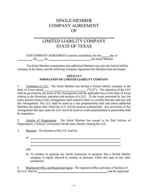 Limited Liability Company Fill Online Printable Fillable Blank
