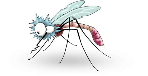 Funny Mosquito From Side Clip Art At Vector