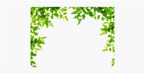 Borders With Leaves Clip Art Green Leaves Border Transprent Png My