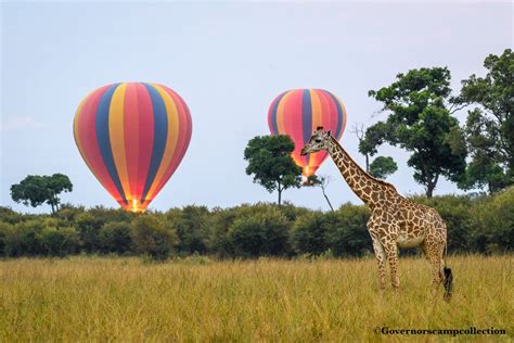 Balloon Safaris With Little Governors Camp Masai Mara Kenya Travel