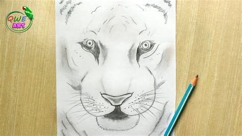Dibujo rápido de cara de tigre Dibujo a lápiz de cara de tigre