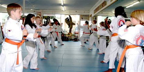Kids Martial Arts Classes And Lessons