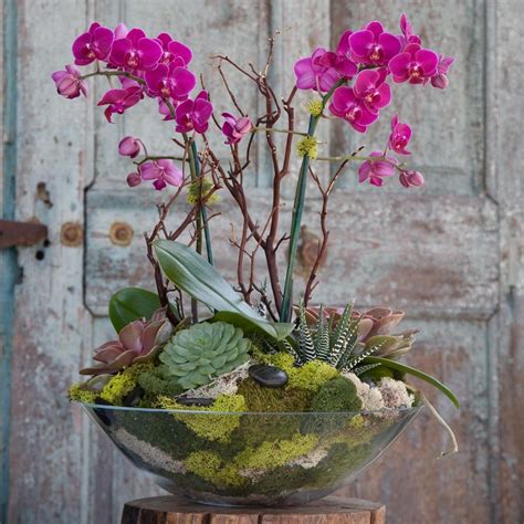 55 Best Orchid Arrangements With Succulents And Driftwood Flower Arrangements Orchid Flower