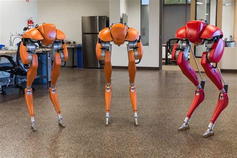 Robot Cassie EnseÑando A Andar A Otros Robots Robots De última Generación