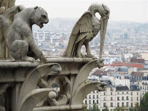 Notre Dame Gargoyle Statues Statue Week Notre Dame Saints And