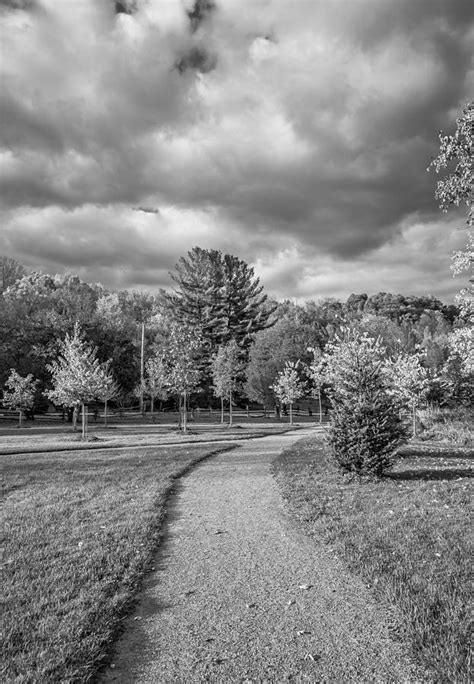 Pathway To Autumn Monochrome Photograph By Steve Harrington Fine Art