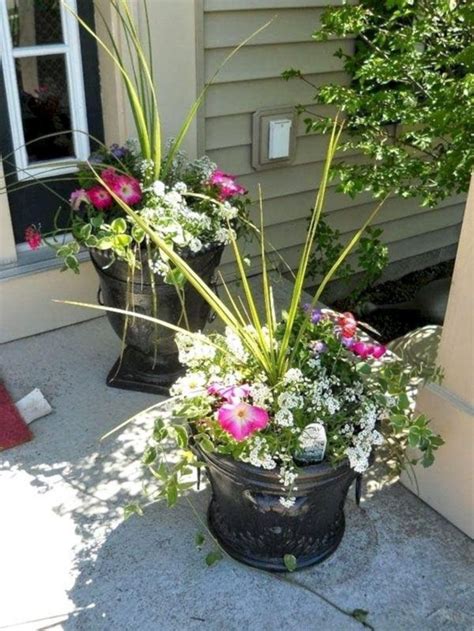 See more ideas about garden containers, container plants, container gardening. 25+ Gorgeous Full Sun Container Plants Ideas To Make Up ...