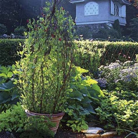 Maybe you would like to learn more about one of these? 15 Inspiring DIY Garden Trellis Ideas For Growing Climbing ...