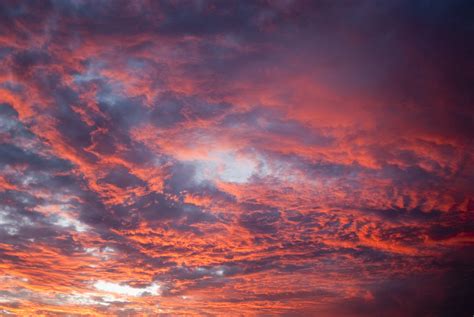 Image Of Atmospheric Colorful Pink Sunset Freebiephotography