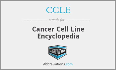 Ccle Cancer Cell Line Encyclopedia