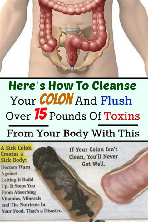 Here’s How To Cleanse Your Colon And Flush Over 15 Pounds Of Toxins From Your Body With This