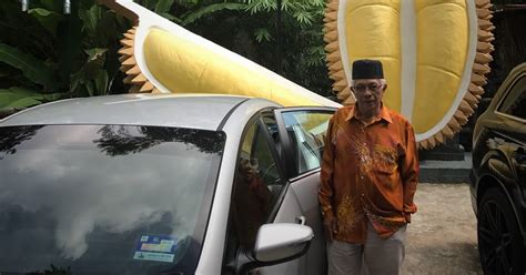 Musang king kaki ganda bahkan bisa berbuah hanya dalam jangka waktu 3 hingga 5 tahun saja ketika pohonya masih berukuran pendek. Harga durian Musang King di Balik Pulau untuk tahun 2017