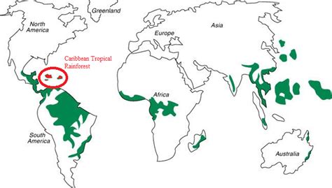 Climate In The Tropical Rainforests Of The Caribbean Megan S Blog