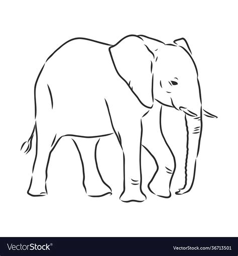 African Elephant Silhouette Freehand On A White Vector Image
