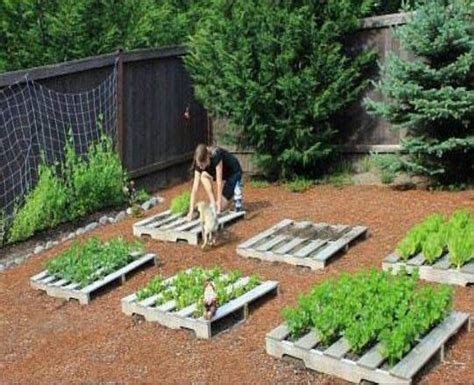 Pallet Vegetable Garden Ideas Bois Bassdona