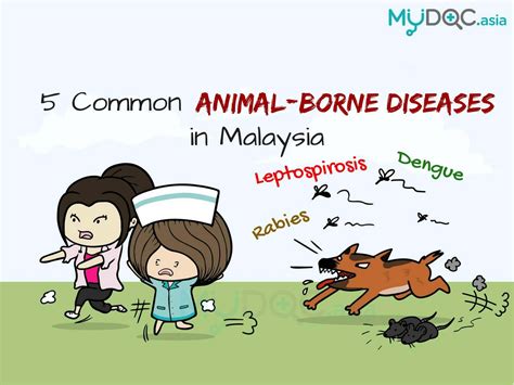 The most common respiratory diseases are acute respiratory infections, found in both adults and children. Infographic 5 Common Animal-Borne Diseases in Malaysia ...