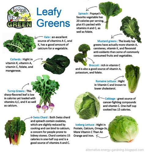 Eat More Leafy Greens For Better Health Nutrition And Wellness Center