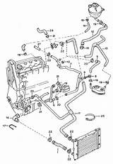 Cooling System Jetta 2002