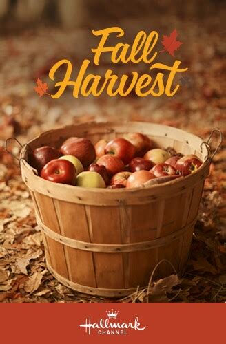 Fall Harvest Hallmark Channel