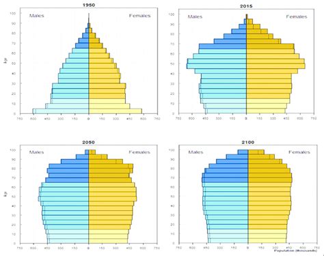 Population Pyramid For Netherlands Download Scientific Diagram