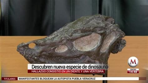 Descubren Nueva Especie De Dinosaurio Grupo Milenio