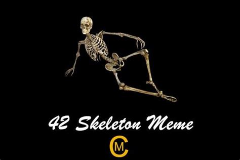 ☠️ 42 Funniest Skeleton Meme Meme Central