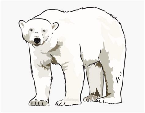 Clip Art Polar Bear Clip Art Library