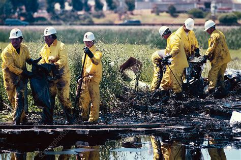 Oil Spill Cleanup Stock Image C Science Photo Library