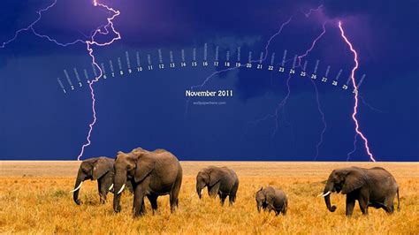 嵐に近づいて 2011年11月 Calendarデスクトップ壁紙プレビュー